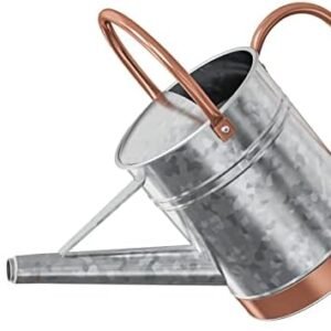 1 Gallon Watering Can for Outdoor Plants - Metal Watering Can for Outdoor Plants House Plant Watering Can with Sprinkle Head Perfect Watering Can Indoor Plants for Outdoor and Indoor Gardening