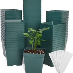 100 Pack Green Square Nursery Pots with Drainage Holes 3.3 Inches Flexible Plastic Seedling Pots Square Pots for Plants, Succulent, Flower, with Plant Labels