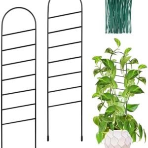 18 Inch Small Metal Trellis,Indoor Plant Trellis for Climbing Plants, Garden Trellis for Potted Plants,Plant Stakes for Indoor Plants Accessories Hoya,Flower, Inclined Ladder 2 Packs