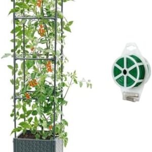 Raised Garden Bed with Tomato Planter Cage, 56.7” Trellis Planter Boxes with Wheels for Outdoor Patio Greenhouse Gardening Climbing Vegetables