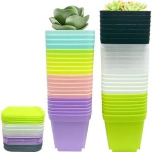 56PCS 3inch Plastic Nursery Pots,Square Plants Seedling Pots Nursery Pot,Multicolor Small Transplanting Flower Pots for Indoor Outdoor Plants,Succulents,Office Home Garden and Balcony Decor(8 Colors)