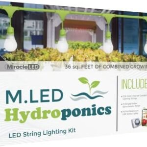 Miracle LED Hydroponics LED Indoor Grow Light Kit - Includes 4 Absolute Daylight Full Spectrum 100W Replacement Grow Light Bulbs & 1 4-Socket Corded Fixture with SproutMatic Grow Light Timer