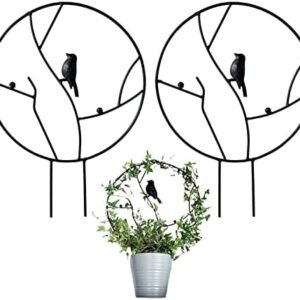 2 Pcs Iron Garden Trellis for Climbing Plants, 13.6" Rust-Proof Small Trellis for Indoor Potted Plants, Round Circle Trellis with Bird, Metal Vine Plant Support Trellis for Vines - Black