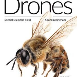 Honey Bee Drones: Specialists in the Field