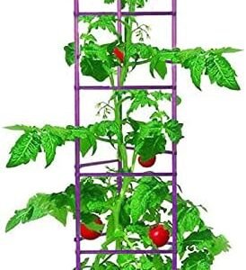 NO Splicing - 5ft Tall Tomato Cage 6-Pack Large Tomato Stakes Garden Plant Stakes Climbing Suports, 40 Clips and Plant Ties Include, Purple