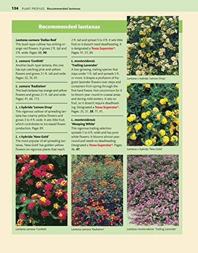 Texas Home Landscaping, 3rd Edition: 48 Landscape Designs, 200+ Plants & Flowers Best Suited to the Region (Creative Homeowner) Gardening Ideas, Plans, and Outdoor DIY Projects for TX and OK - Image 8