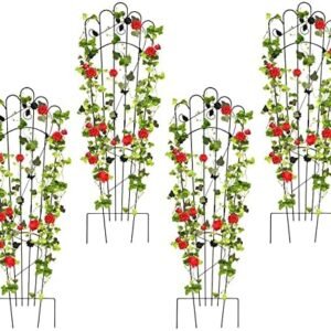 Metal Detachable Trapezoidal Garden Trellis for Climbing Plants Outdoor 60 Inches Sturdy Patio Plant Support for Indoor Plants Trellis for Rose, Vegetable Flower, Backyard Pack of 4 - Black