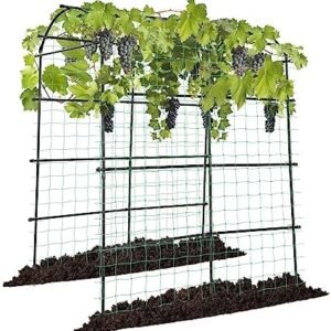 VIVOSUN 7Ft. Arch Trellis for Climbing Plants, 7 x 6 x 7ft Tall Metal Tunnel Trellis, Lightweight Metal Plant Support Archway with Nylon Netting for Climbing Vine, Vegetables, Fruits, Flowers, Black