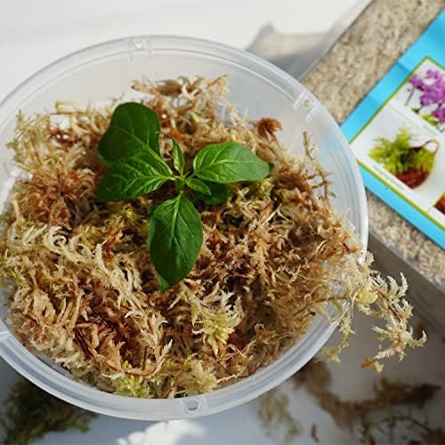 Sphagnum Moss 1.2 lb Perfect for DIY Moss Pole, Great Potting Mix for Indoor Plants, Help with Maintain Humidity - Image 5