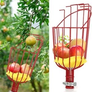 Fruit Picker Basket, Apple Fruit Picker Basket with Cushion to Prevent Bruising, Twist On Fruit Picker Harvester Basket, Perfect Fruit Picker Head Fruit Picker Tool Apply for 3cm Pole