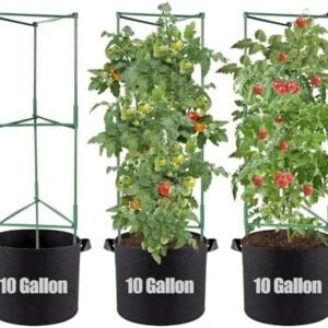 ANPHSIN 48" Tomato Cages with 10 Gallon Grow Bags - 3 Packs Stable Assembled Plant Garden Planter, Flowers Vegetable Trellis for Vertical Climbing Plants Vines