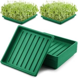 10 Pcs 10.6x10.6In Microgreens Growing Trays Plastic Seed Starter Tray No Drain Holes Seed Starting Trays Thickened Greenhouse Seedling Propagation Trays Garden Seedling Tray for Indoor (Dark Green)