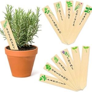 Huray Rayho 12PCS Wooden Indoor Herb Plant Labels Sign Plant Lover Gifts Plant Markers Planted Assorted Indoor Garden Stakes Garden Gifts Garden Signs Garden Markers Re-Usable Plant Tags