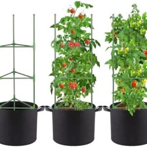 Tomato Cages with 10 Gallon Grow Bags, 45.3in Stable Assembled Trellis, Garden Planter for Vertical Climbing Plants Flowers Vegetable Herbs Vines, 3 Packs