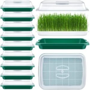 9 Pack Seed Sprouter Tray with Lid and Drain Holes 13 x9.5 Seed Germination Tray Microgreens Growing Sprouting Tray Soil Free Wheatgrass Growing Kit for Bean Sprouts Garden Office Home
