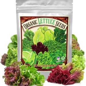 22,000+ Organic Lettuce Seeds, Heirloom Vegetable Seed for Planting, 10 Varieties Fresh Salad Greens Seeds Gift Pack - Buttercrunch, Romaine, Iceberg, Boston, Bibb and More, Non-GMO