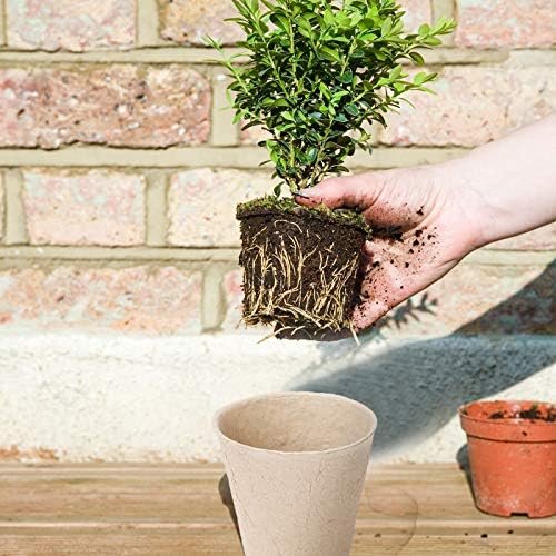 Oubest Peat Plant Pots for Plantings, Plant Starter Kit Paper Pulp Germination Planting Pots Indoor Seedling Pot Supplies 3" Round 50Pc Solid Color - Image 6