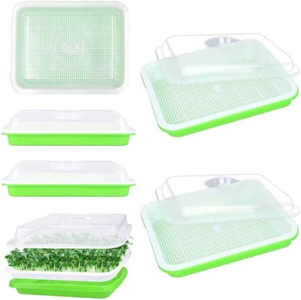 Senwow Seed Sprouter Tray with Lid 6 Pack, BPA Free Nursery Tray Seed Germination Tray Healthy Wheatgrass Seeds Grower & Storage Trays for Garden Home Office
