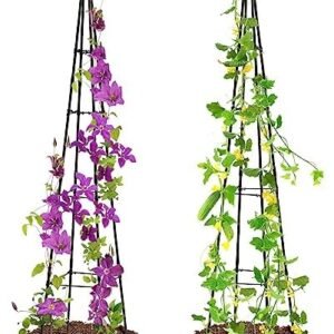 Trellis for Climbing Plants, 67" Tall 4-Stake with 4-Tier Braces Plant Pot Trellis, Metal Rose Garden Trellis for Climbing Plants Outdoor Vegetable|Flower|Vine Potted Plants, 2 Pack, Black