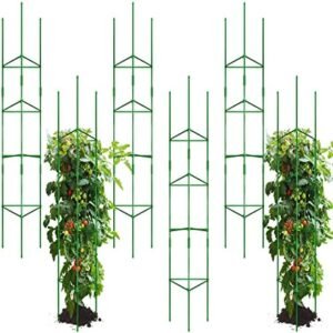 Sunnyray 6 Pcs Tomato Cage up to Plant Cage 72 Inch Deformable Tomato Support Stakes Assembled Tomato Garden Vegetable Cages for Vertical Climbing Potted Plants Climbing Vegetables