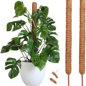 2 PCS 26 Inches Tall Moss Poles, Plant Poles for Climbing Plants with Two Garden Jute Rope for Monstera, Sphagnum, Pothos and Other Indoor Plants
