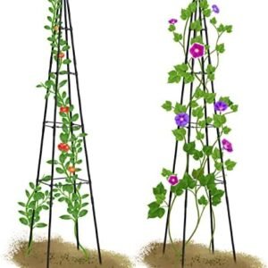 Lalahoni 2 Pack Garden Trellis for Climbing Plants Outdoor Indoor Pot | 67inch Tall Plants Trellis Support with Adjustable Stake Arms | Garden Obelisk Trellis, Lightweight, Black