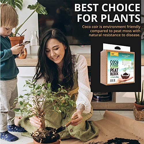 Organic Coco Coir Brick, Natural Seed Starter with Low EC and pH Balance, Enhance Root Growth in Herbs, Flowers, and House Plants, Organic with High Expansion - by Vivlly (10, Pounds) - Image 4