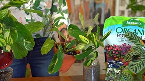 Espoma Organic Potting Soil Mix - All Natural Potting Mix For All Indoor & Outdoor Containers Including Herbs & Vegetables. For Organic Gardening, 4qt. bag. Pack of 1 - Image 6