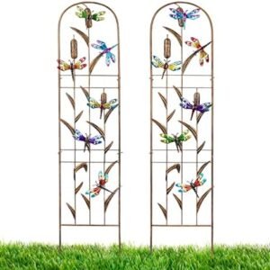 LEWIS&WAYNE 2 Pack Metal Garden Trellis with Colorful Dragonfly 60 Inch High Outdoor Decoration Arched Fence Trellis for Climbing Plants for Patio, Lawn, Yard, Backyard, Wall Brackets
