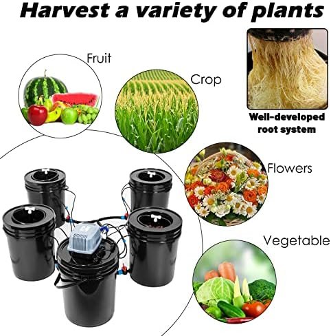 Hydroponics Growing System 5 Gallon DWC Hydroponic Bucket Kit Multi Barrel Hydroponic Machine Drip Irrigation System for Vegetables (4 Bucket + Reservoir Kit) - Image 2