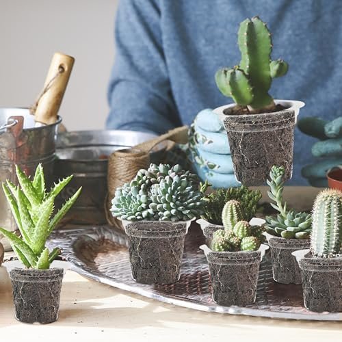 winemana 4 Inch Seed Starter Tray for Vegetable Herb Lettuce Seeds, Plant Pots for Potting Soil Indoor Plants, Clear Nursery Pots Plastic Planting Pots Garden Flower Pots- 60 Packs - Image 5