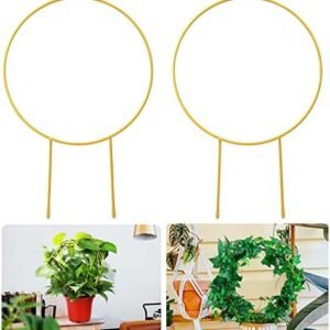 2 Pack Circle Trellis for Climbing Plants Indoor, 15" Gold Small Plant Trellis Support Stakes Flower Houseplant Hoya Trellis for Potted Plants & Garden Stem Vines