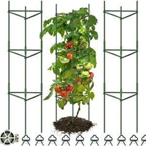 Tomato Cage, Assembled Tomato Plant Garden Cages Stakes Vegetable Support Trellis,with 10Pcs Tomato Clips and 65ft Garden Ties, for Vertical Climbing Plants 3 Pack