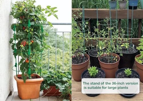 Adjustable Tomato Plant Support Cages. 8 Pack 36 Inch Tomato Plant Stakes for Climbing Plants,Vegetables,Flowers,Fruit. - Image 5