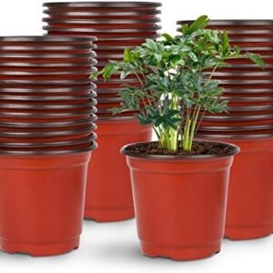 Augshy Nursery Pot, 75 Pcs 4" Plastic Nursery Seed Starting Pots Flower Plant Container for Succulent Seedling Cutting Transplanting