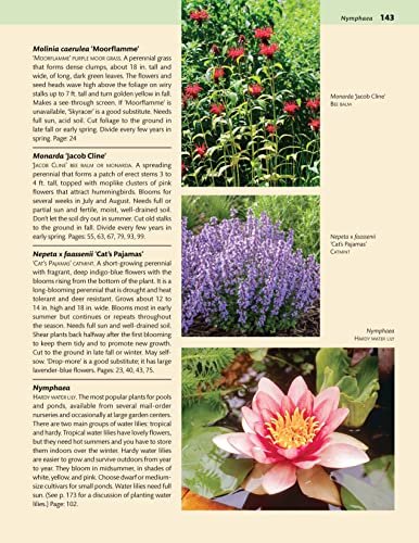 Midwest Home Landscaping, Fourth Edition: 46 Landscape Designs, 200+ Plants & Flowers for Your Region (Creative Homeowner) Gardening and Outdoor DIY for IL, IN IA, KS, MI, MN, MO, NE, ND, OH, SD, & WI - Image 6