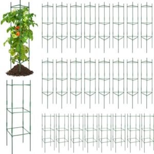 24 Sets 48 Inch Tomato Cage for Garden Plants Tomatoes Stakes Support Cages Trellis Expandable Plant Cage Vegetable Support Trellis Stakes for Vertical Climbing Plants Flowers