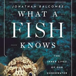 What a Fish Knows: The Inner Lives of Our Underwater Cousins