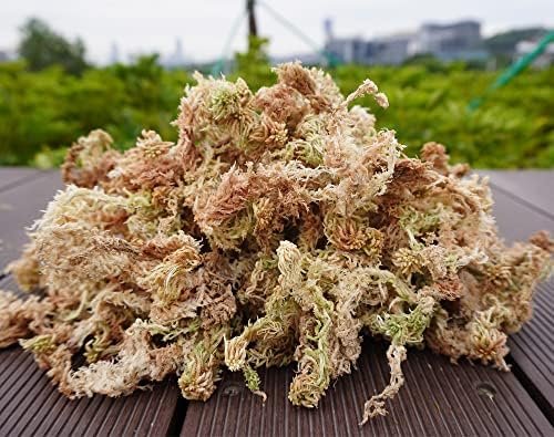 Sphagnum Moss 1.2 lb Perfect for DIY Moss Pole, Great Potting Mix for Indoor Plants, Help with Maintain Humidity - Image 2