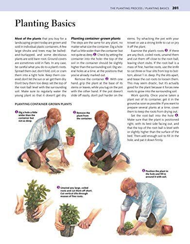 Texas Home Landscaping, 3rd Edition: 48 Landscape Designs, 200+ Plants & Flowers Best Suited to the Region (Creative Homeowner) Gardening Ideas, Plans, and Outdoor DIY Projects for TX and OK - Image 12