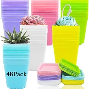 48 Pack 3 Inch Colorful Plastic Plant Pot,Plastic Square Nursery Pots,Seedling Nursery Pots with Saucers for Garden,Home,Office,Balcony Decor,Garden Gifts
