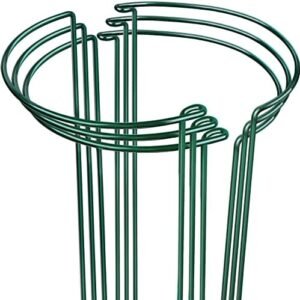 LEOBRO Plant Stakes, 6 Pack Plant Support Stakes, Plant Support, Peony Cages and Supports, Garden Stakes Plant Stakes and Supports for Outdoor Indoor Plants, Monstera Peony Tomato, 9.8" W x 15.7" H