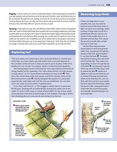 Midwest Home Landscaping, Fourth Edition: 46 Landscape Designs, 200+ Plants & Flowers for Your Region (Creative Homeowner) Gardening and Outdoor DIY for IL, IN IA, KS, MI, MN, MO, NE, ND, OH, SD, & WI - Image 8