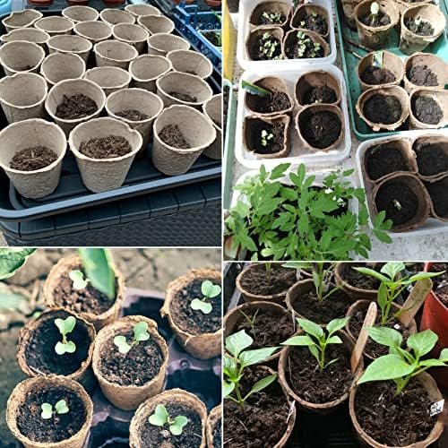 KINGLAKE 100 Pcs 3 Inch Peat Pots, Seeds Starter Pots,Transplant Seedlings Pots with 100 Pcs White Plastic Plant Labels - Image 6