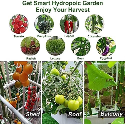 Smart Hydroponic Growing System,7L Indoor Hydroponic Garden Kit for Herb,Zucchini,Tomato,Pepper,Unique Gardening Christmas Gifts for Wife,Husband,Dad (60inch Trellis Without Growlight) - Image 5
