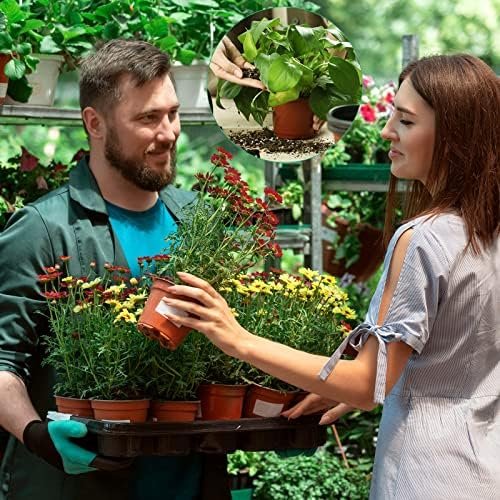 200 Pcs 6 Inch Plastic Plants Nursery Pot Seed Starting Pots Planting Pots Planter Seedling Pots Seedling Flower Plant Container for Indoor Outdoor Garden Seedling Cutting Transplanting - Image 6