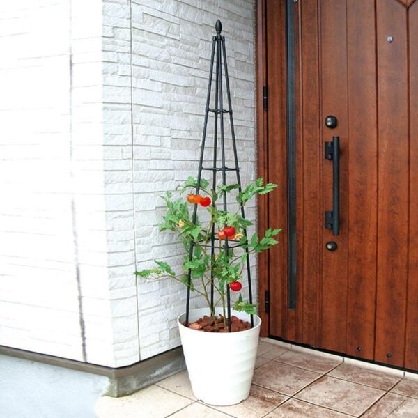 Trellis for Climbing Plants, 67" Tall 4-Stake with 4-Tier Braces Plant Pot Trellis, Metal Rose Garden Trellis for Climbing Plants Outdoor Vegetable|Flower|Vine Potted Plants, 2 Pack, Black - Image 5