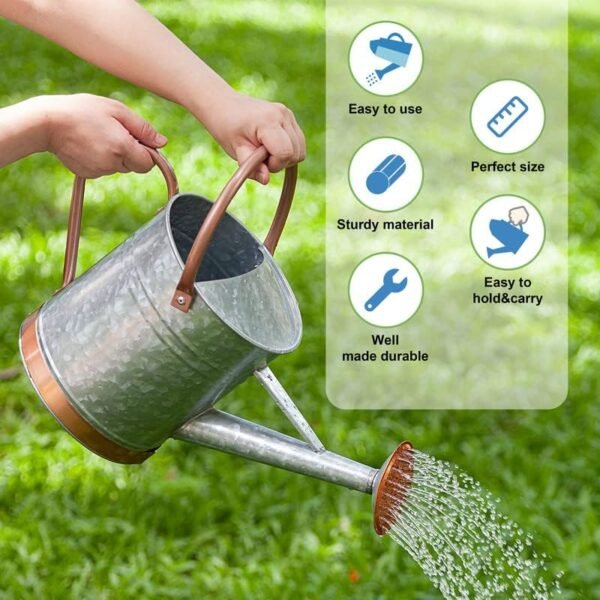 1 Gallon Watering Can for Outdoor Plants - Metal Watering Can for Outdoor Plants House Plant Watering Can with Sprinkle Head Perfect Watering Can Indoor Plants for Outdoor and Indoor Gardening - Image 3
