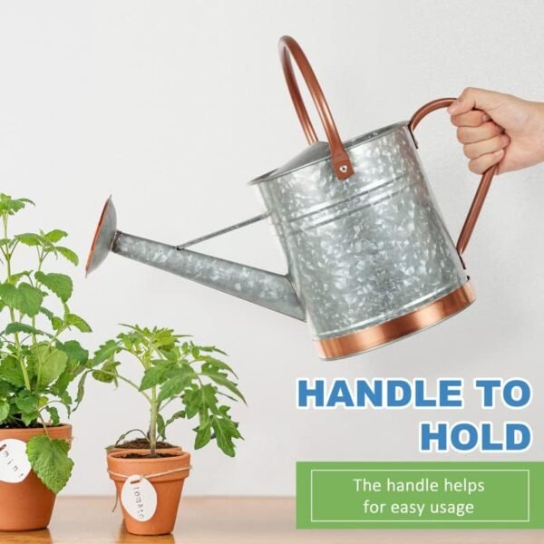 1 Gallon Watering Can for Outdoor Plants - Metal Watering Can for Outdoor Plants House Plant Watering Can with Sprinkle Head Perfect Watering Can Indoor Plants for Outdoor and Indoor Gardening - Image 4