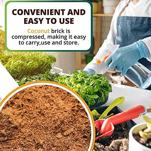 Organic Coco Coir Brick, Natural Seed Starter with Low EC and pH Balance, Enhance Root Growth in Herbs, Flowers, and House Plants, Organic with High Expansion - by Vivlly (10, Pounds) - Image 7